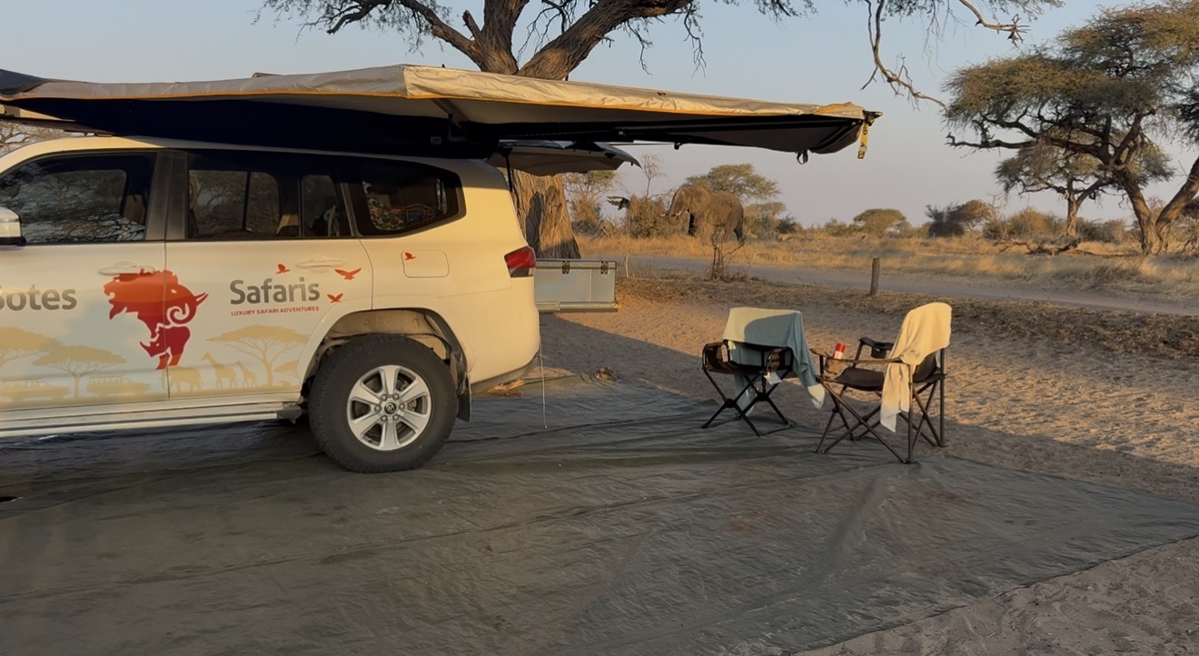 Botes Safaris photo 1