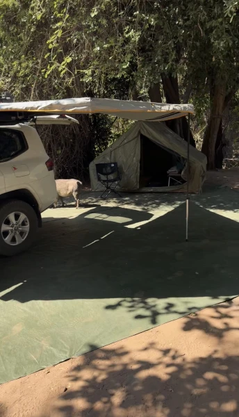Botes Safaris photo 5
