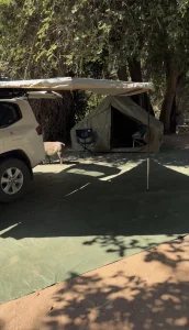 Botes Safaris